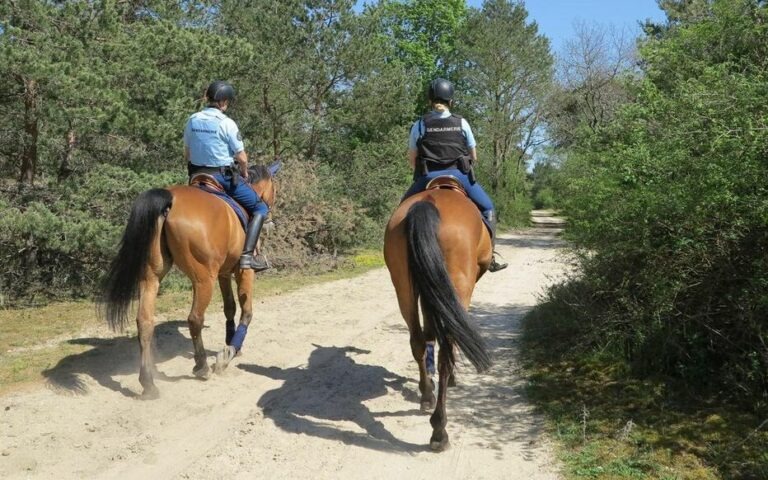 Forêt de Fontainebleau : sept heures de recherches pour retrouver un grimpeur parti seul parcourir le circuit des 25 bosses