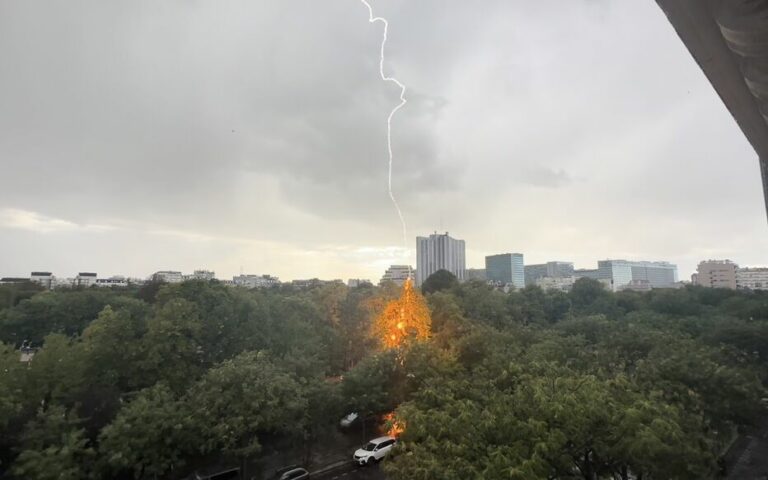 Orage à Paris : les images impressionnantes d’un arbre du cimetière Montparnasse frappé par la foudre