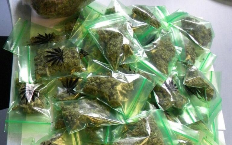 Yvelines – Eure-et-Loir : cinq hommes et une femme interpellés de retour d’un go-fast avec 550 kg de cannabis